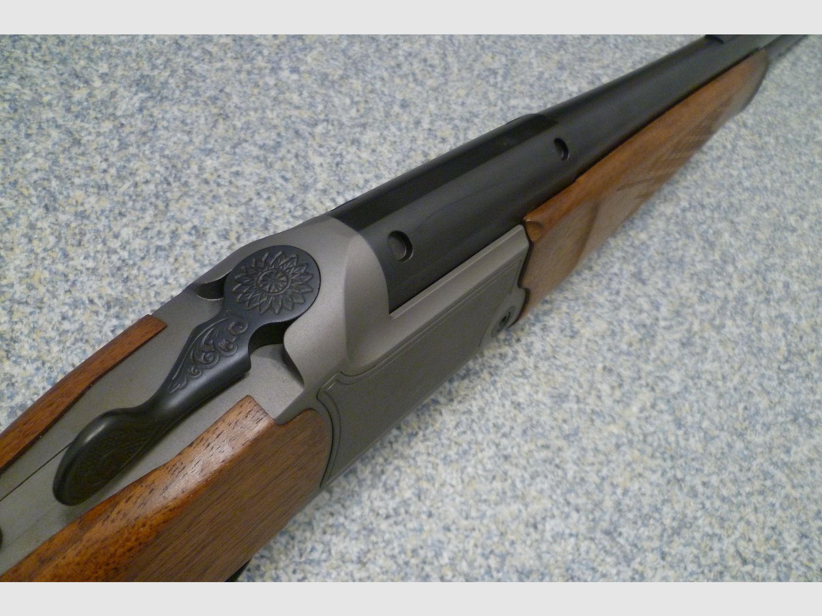 BBF Blaser Modell 95 12/70 & .30-06 Spring.