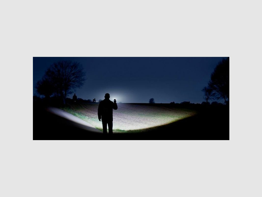 Led Lenser M14X Torch, image 3 of 3