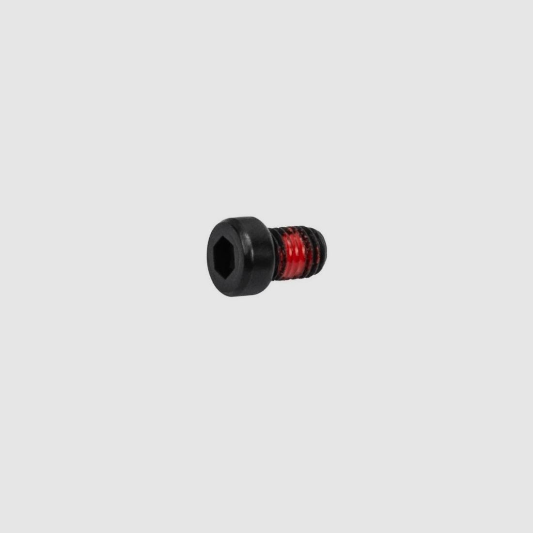 1 Schraube Montageschiene Scout