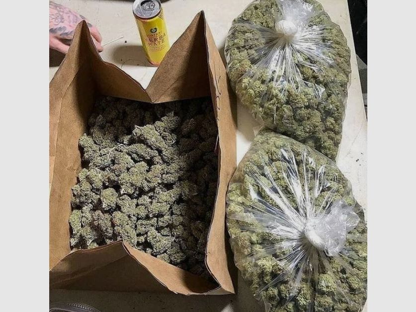 Chaud cocaïne : nous vous ferons revenir. Coca : toute la nuit, pas de banderoles. cocaïne. Gros truc Envoyez-moi un message sur Google Chat