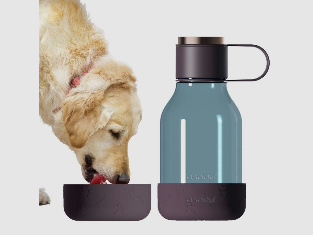 Asobu - Dog Bowl - Flasche aus Tritan mit Hundenapf 1,5 Liter Burgunderrot
