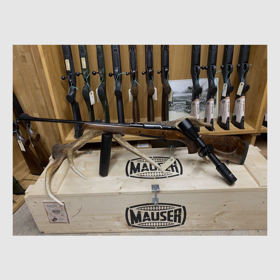 Haenel Jaeger 10 Lady Timber, with Bauer HD 2-16x50 L7F