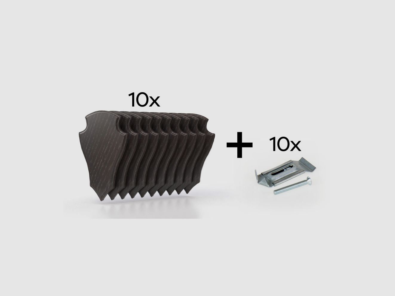 Pakket van 10 trofeeplaten 22x13 cm + 10 metalen standaards - Donker