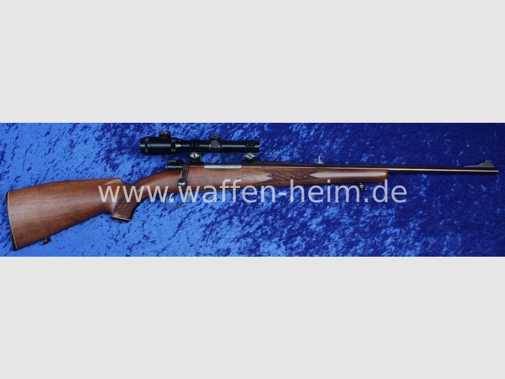 Jürgen Wolf Leonberg M 98