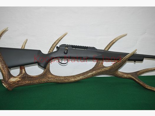 Rössler Signature Allround