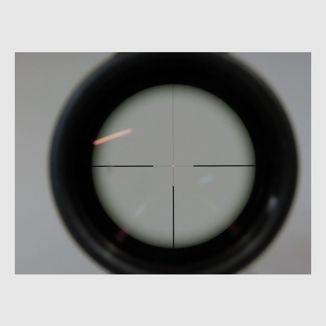 Sauer & Sohn 303 Syncro XT mit Swarovski Z6i