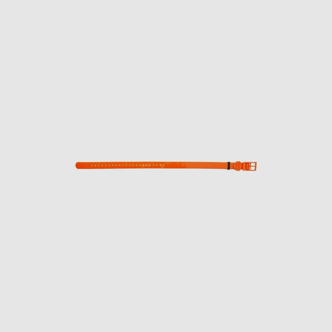 HP&G Hundehalsband 25mm Orange
