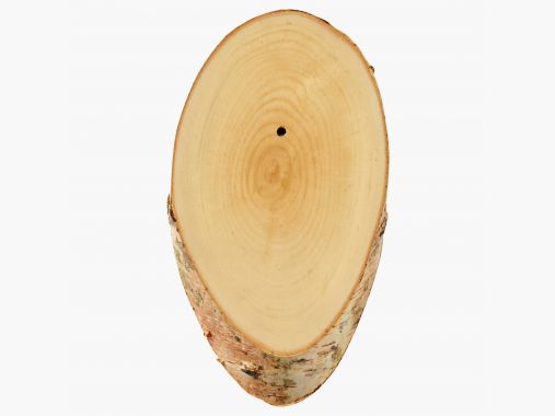 Tableau de trophée en bois de bouleau (disque) |