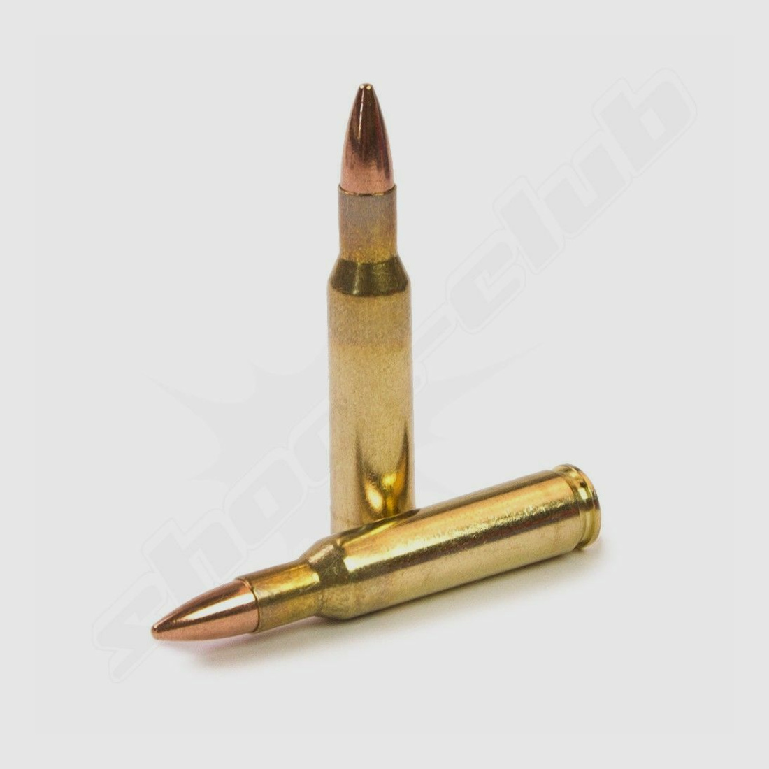 PPU - Prvi Partizan FMJ 3,56g/55gr