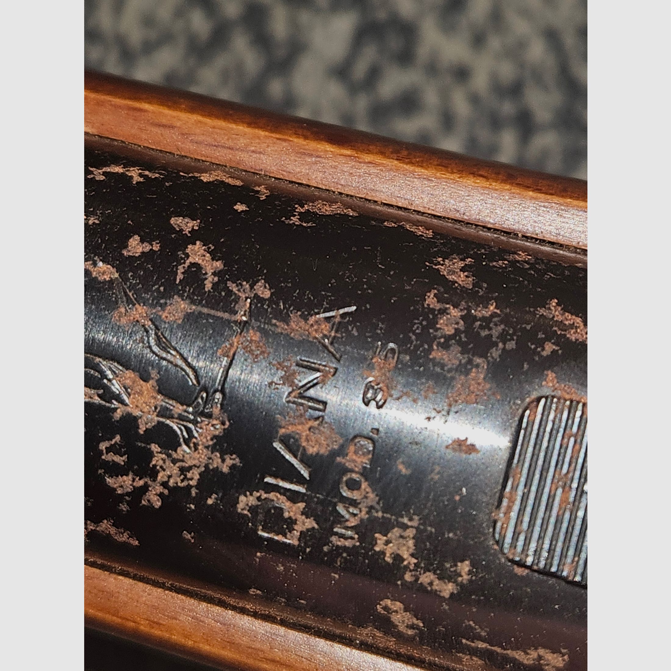 Diana Mod. 35 carabine à air – rareté AVANT 1970 avec numéro de série – 50 ans inutilisée