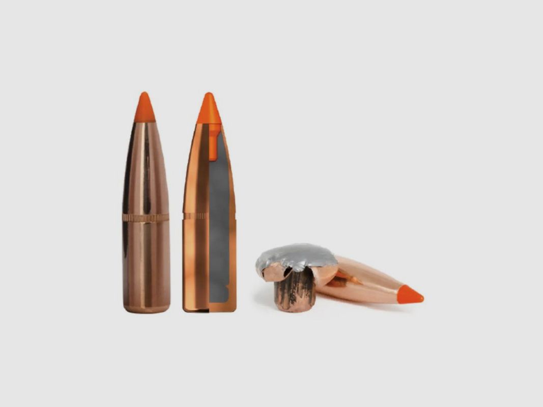 Norma 300 Win. Mag. TipStrike 170grs, immagine 2 di 2