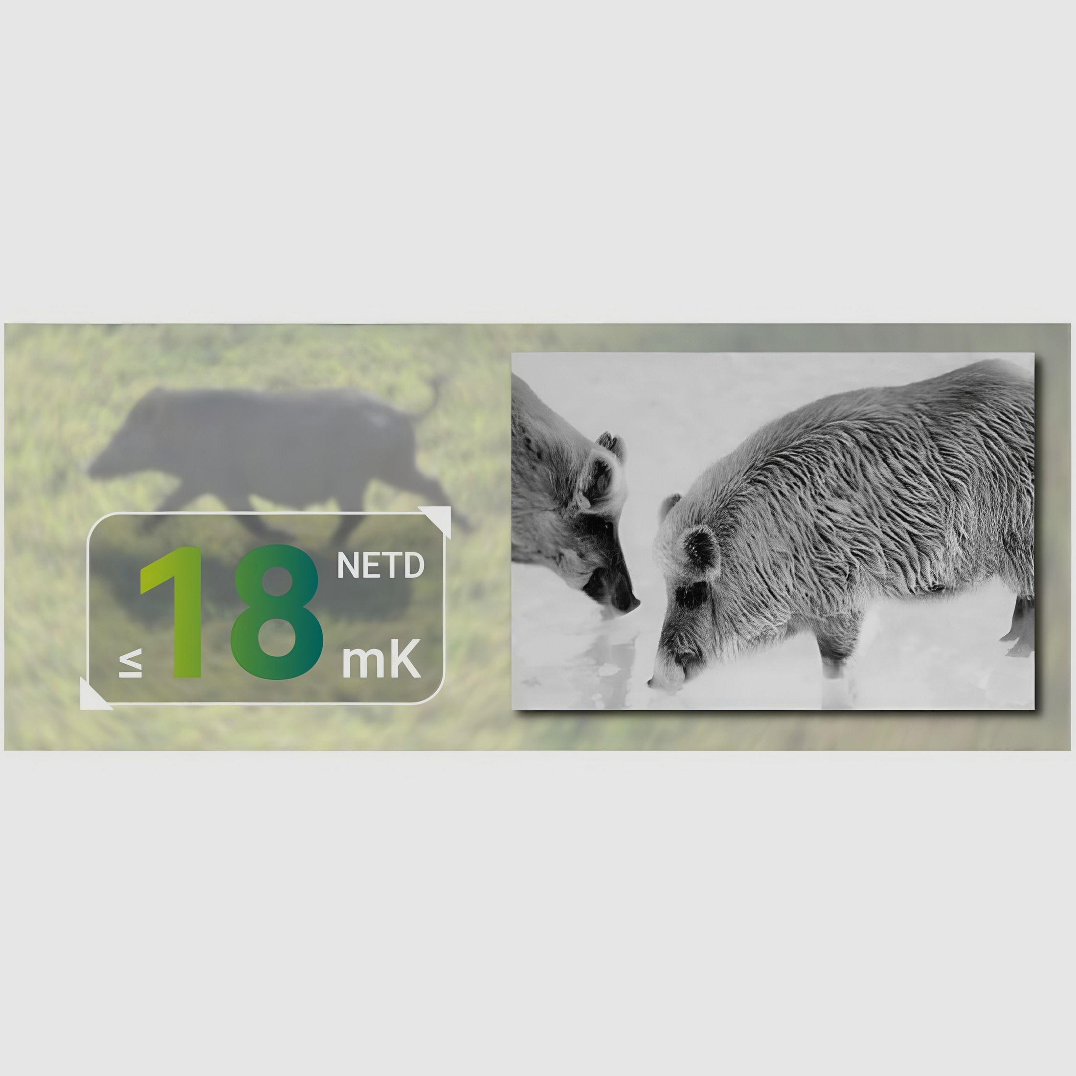 Pixfra Pegasus P635 Pro, afbeelding 4 van 4