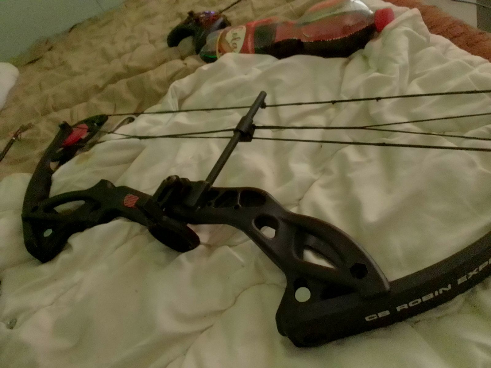 NXG CB ROBIN ESPERTO