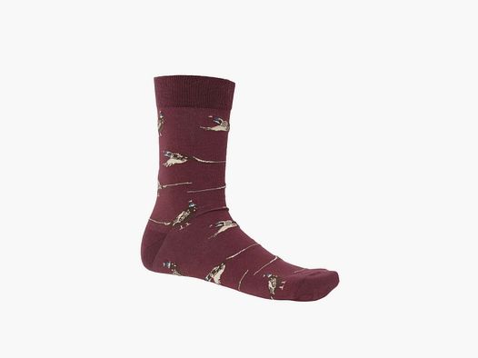 Calzini Chevalier Pomeroy Fox Red Pheasant 37/39