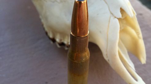 Lapua MEGA in 13g - Optimal für meine .30-06