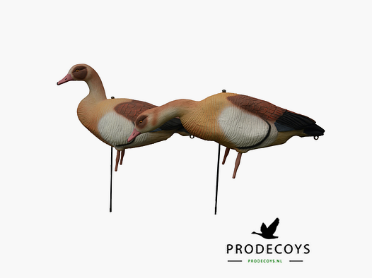 Prodecoys Nilgans-Lockvögel Full Body