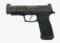 Sig Sauer P365 FUSE