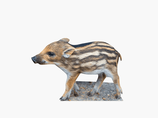 Soporte para animales lechón