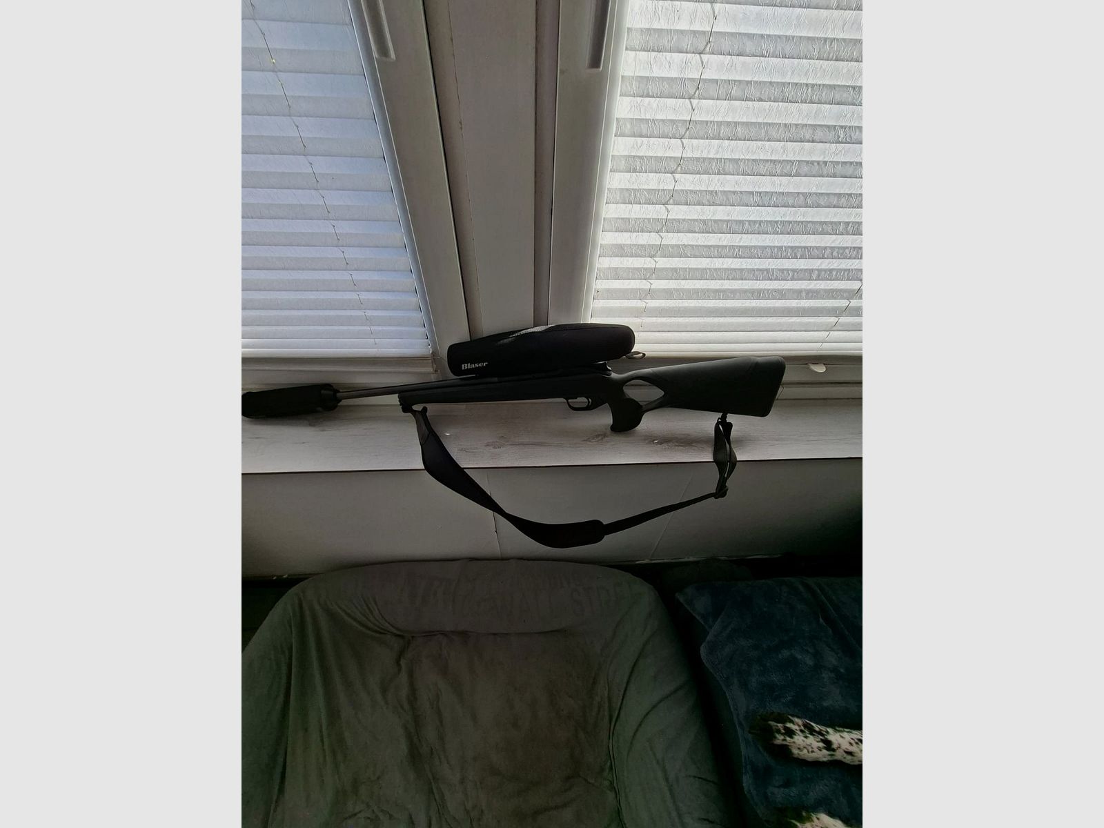 Blaser R8 professional success