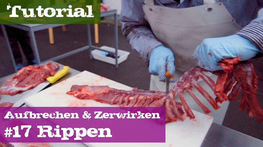 #17 Rippen - Schwarzwild - Lehrgang Aufbrechen & Zerwirken