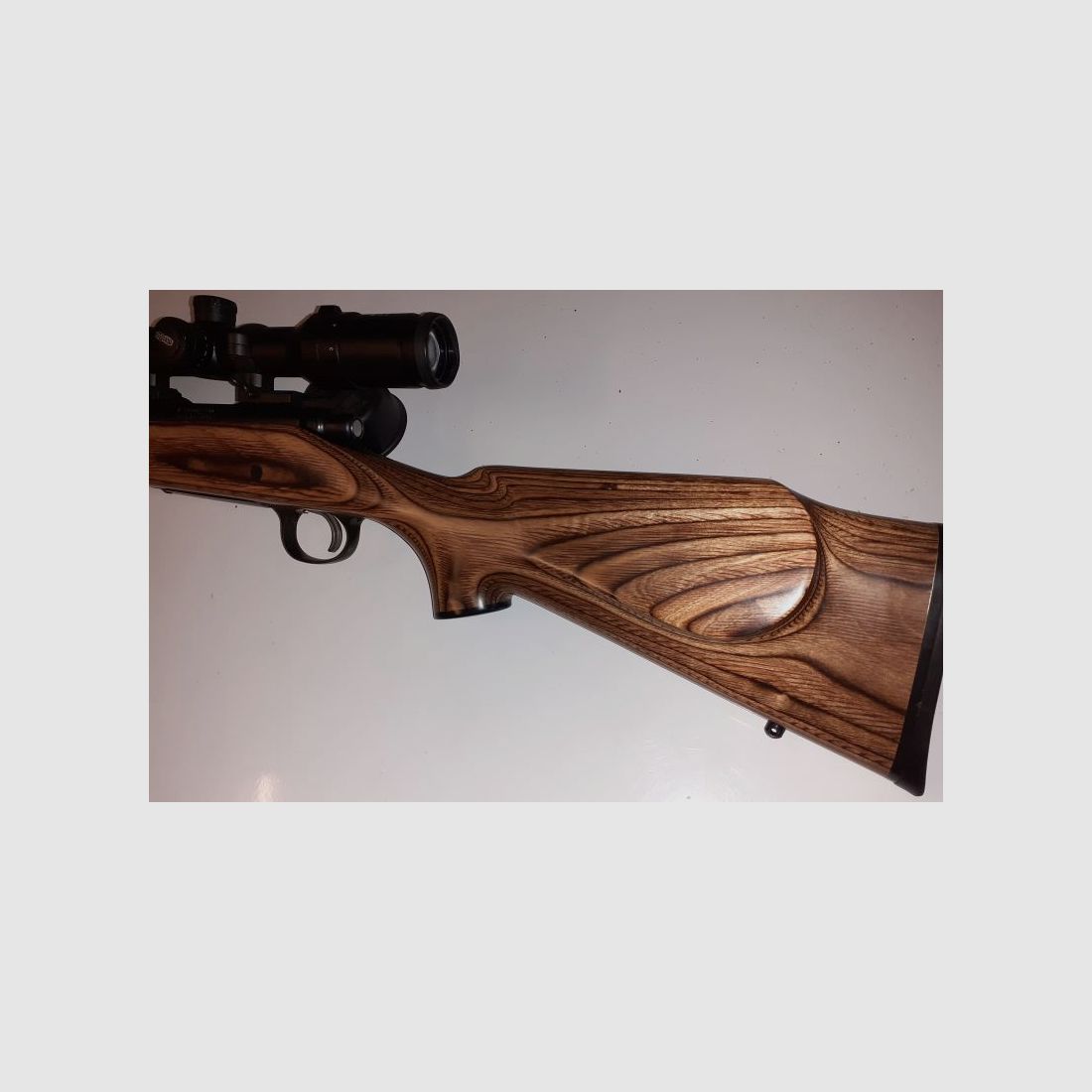 Remington 700 / .223