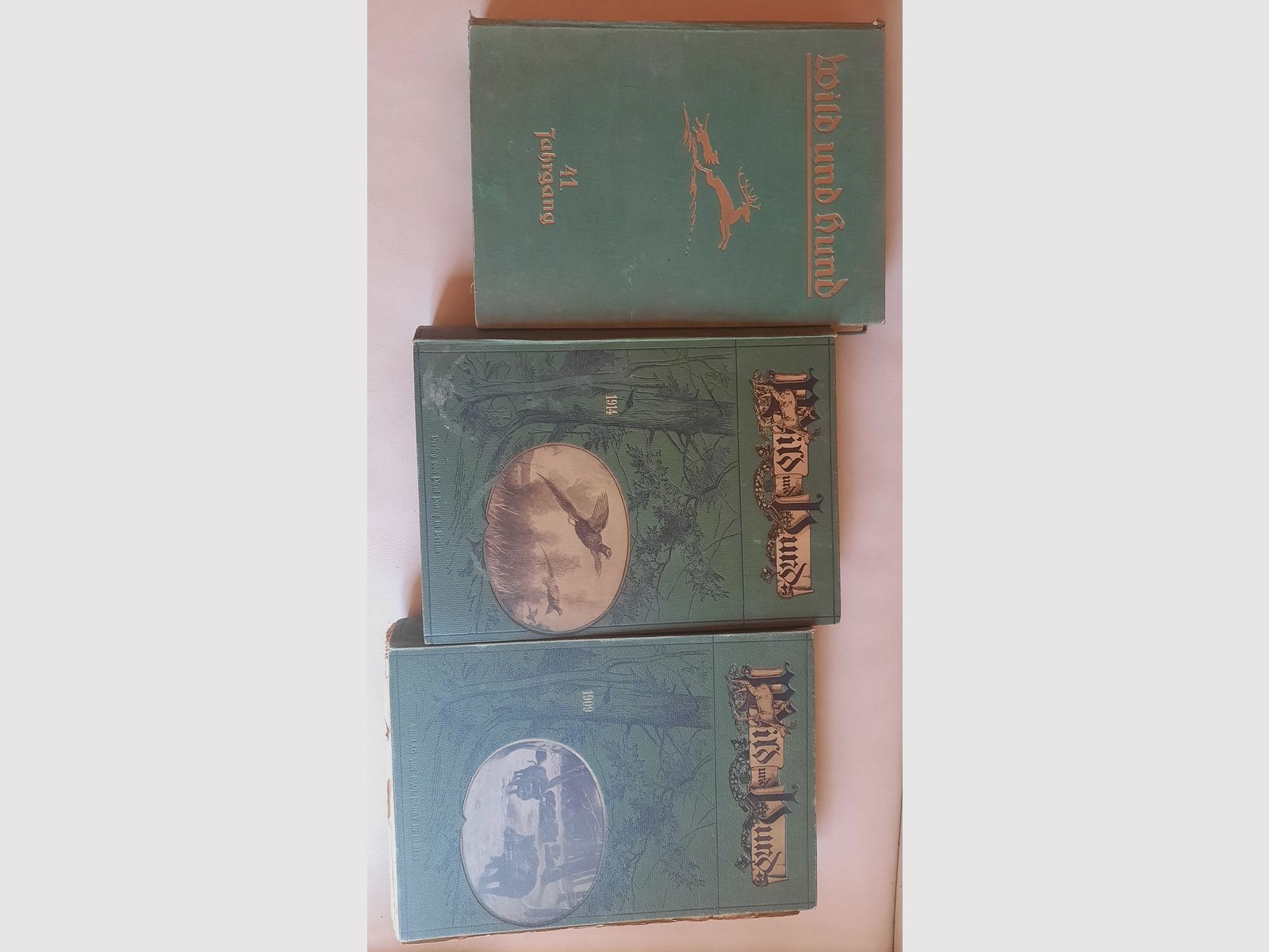 Livres annuels historiques originaux de Wild und Hund