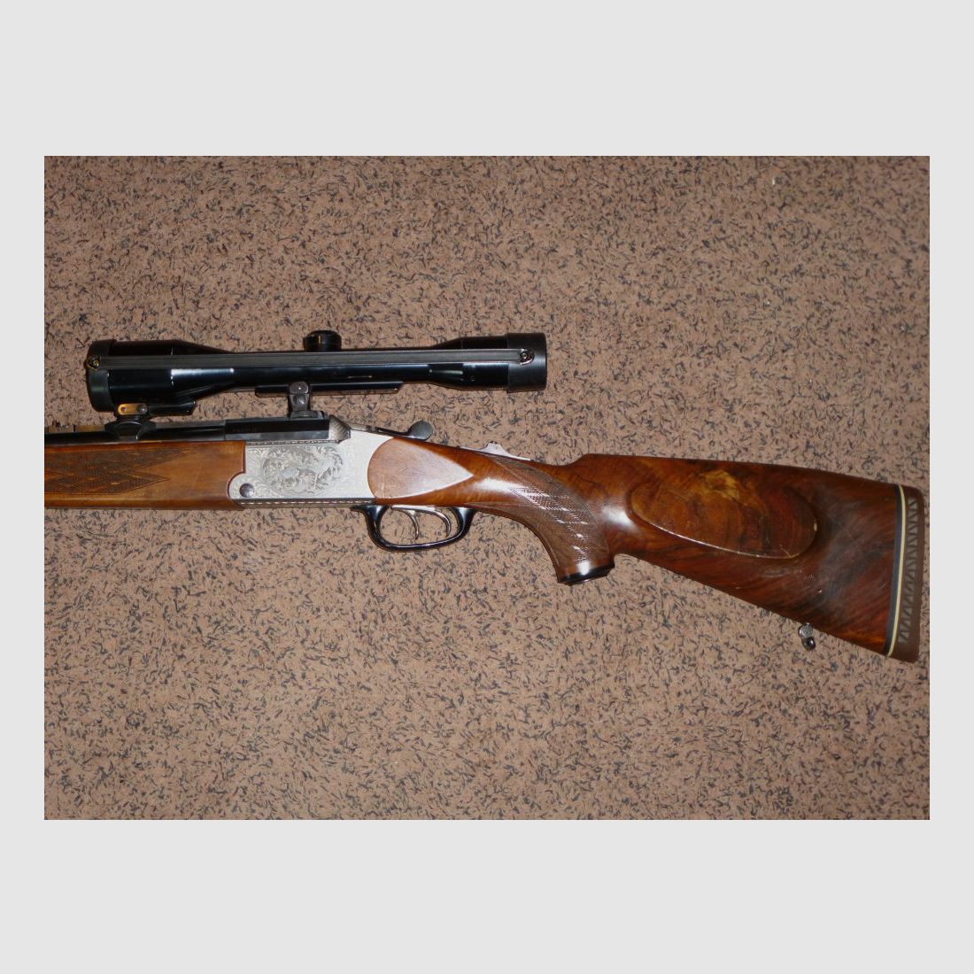 Blaser ES70