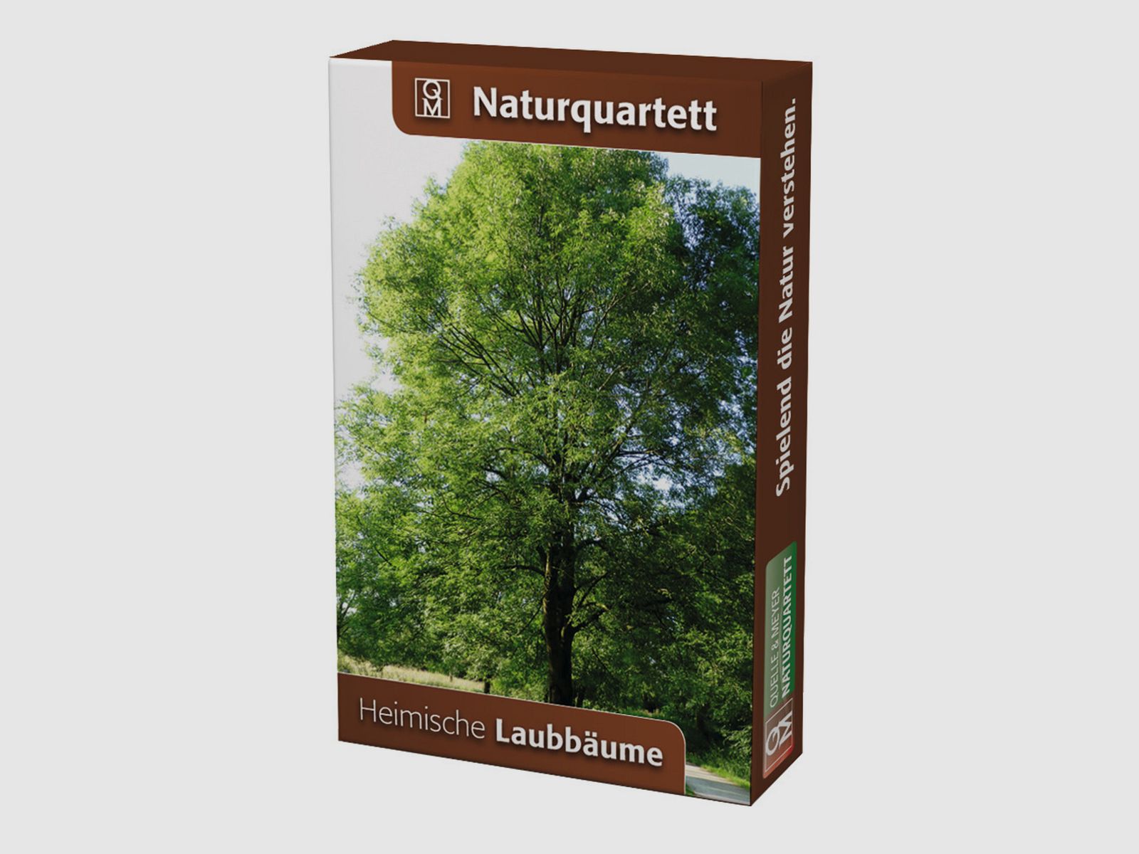 Naturquartett Heimische Laubbume