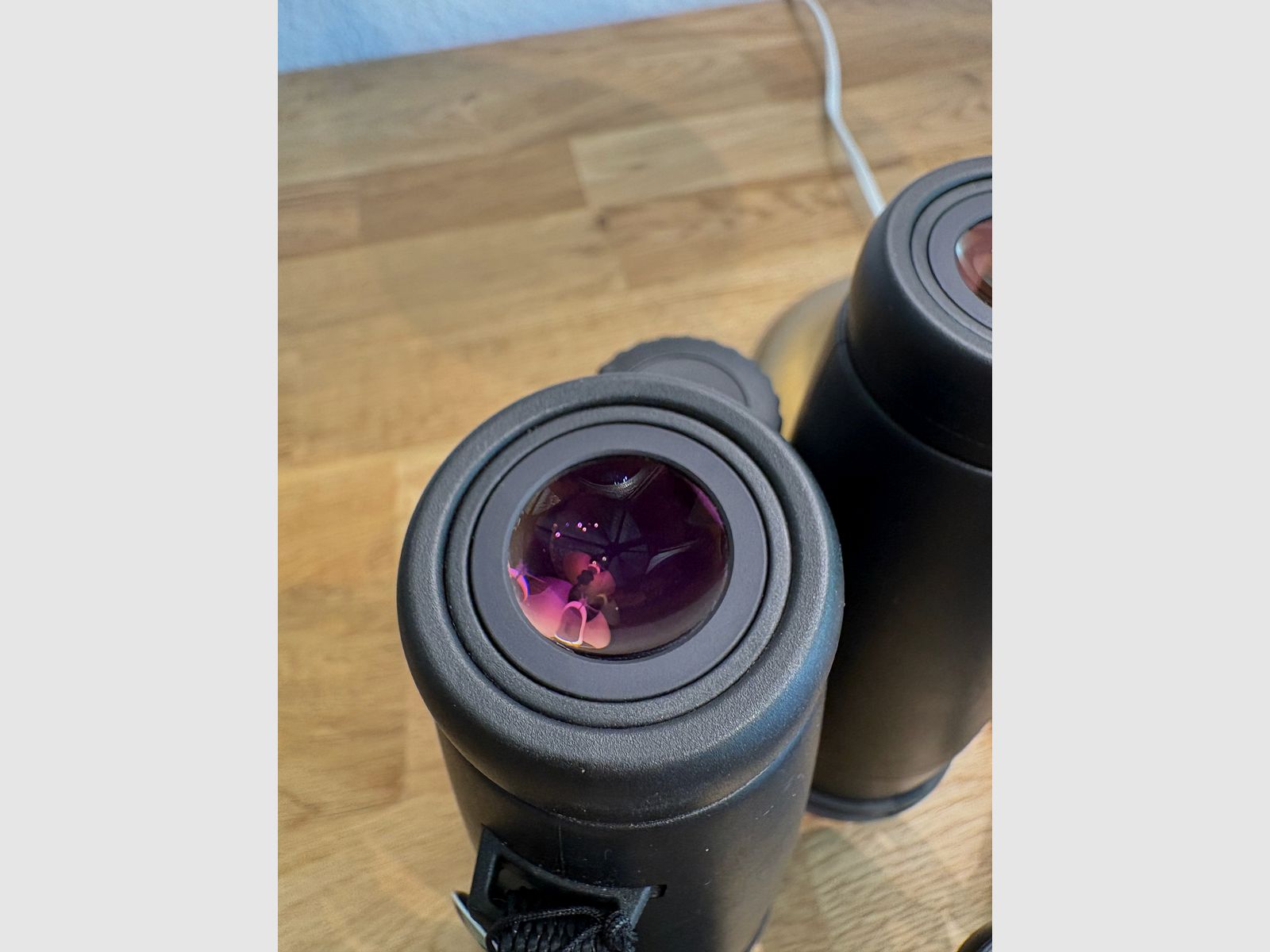 Fernglas Zeiss Victory 10x56 T* FL 