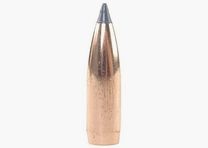 Proiettile Nosler Ballistic Tip Hunting 8mm/.323 180GR Spitzer 50 pezzi