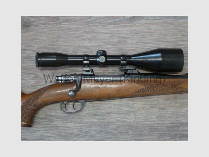 Brigand de la forêt