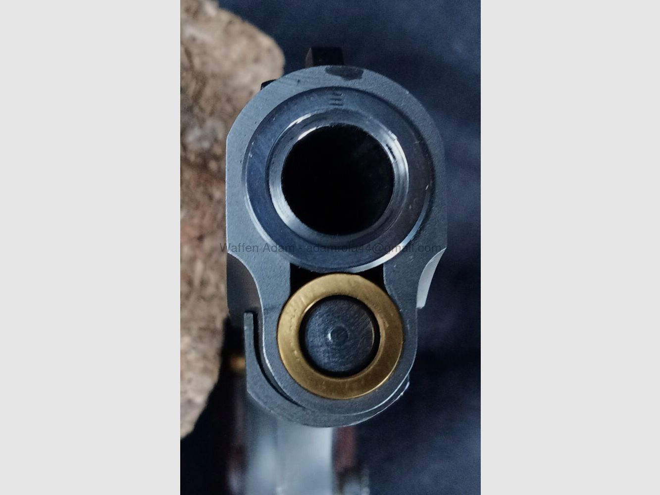 Springfield 1911 C-D