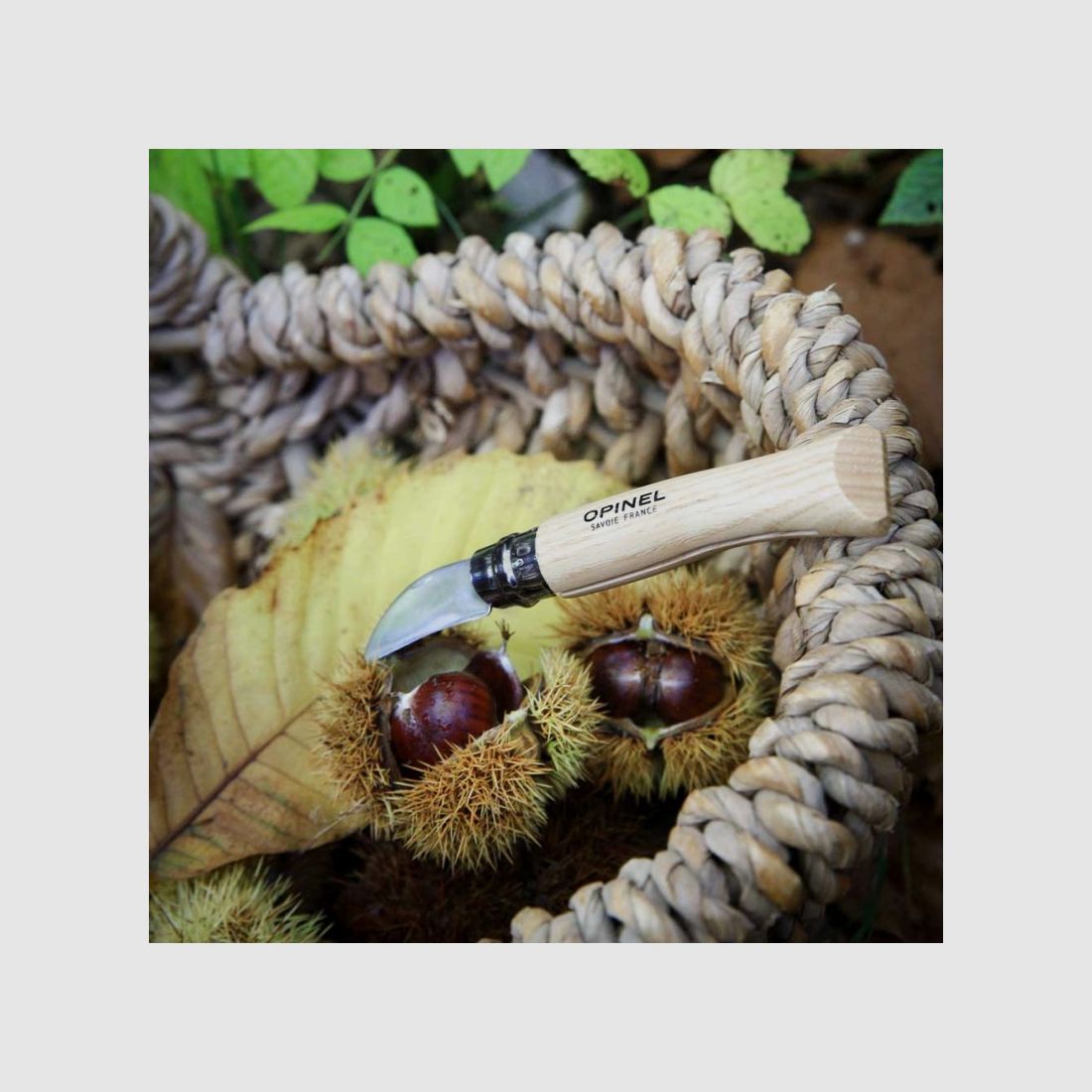 FOLDING KNIFE OPINEL N°7 CHESTNUT&GARLIC, image 3 of 3