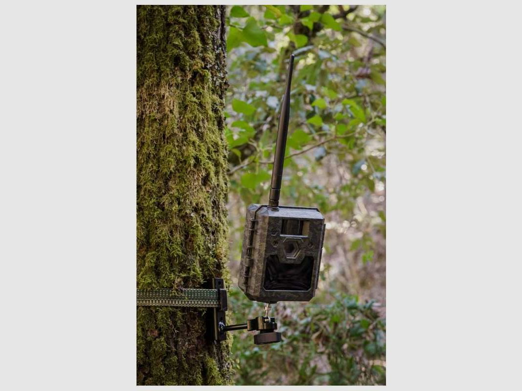 Supporto da Alberi ICU CAM ICUSERVER, immagine 3 di 3