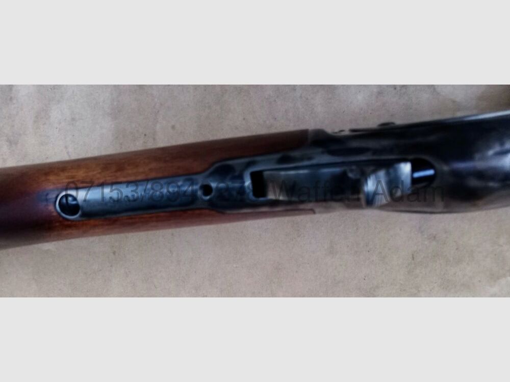 Chapparal Arms Winchester 1876