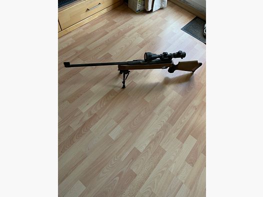 Luftgewehr Haenel Suhl 300
