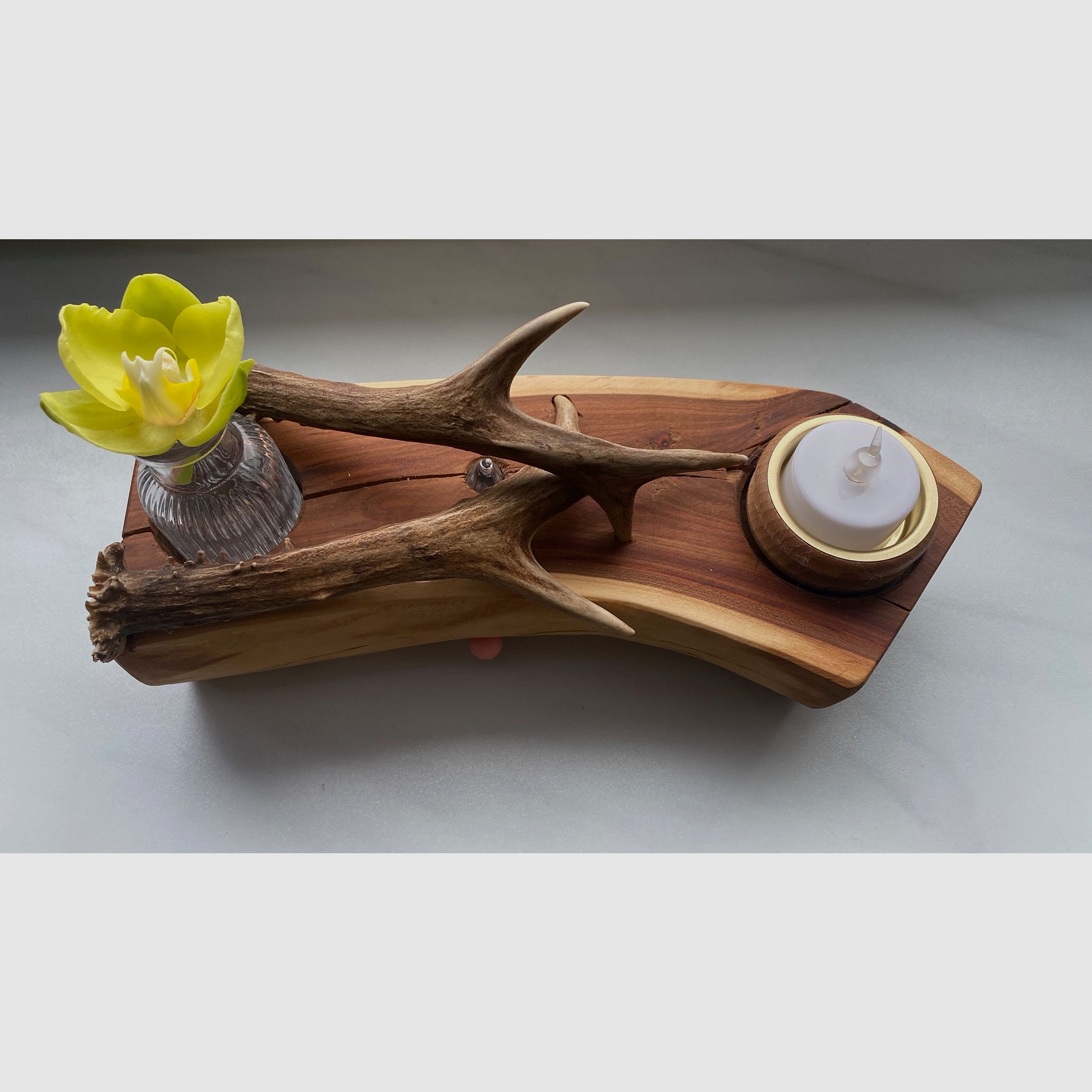 Table decoration decoration lighting vase antlers wood