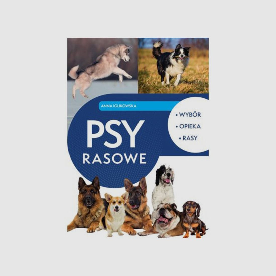 Rassehunde in Polen – Anna Iglikowska