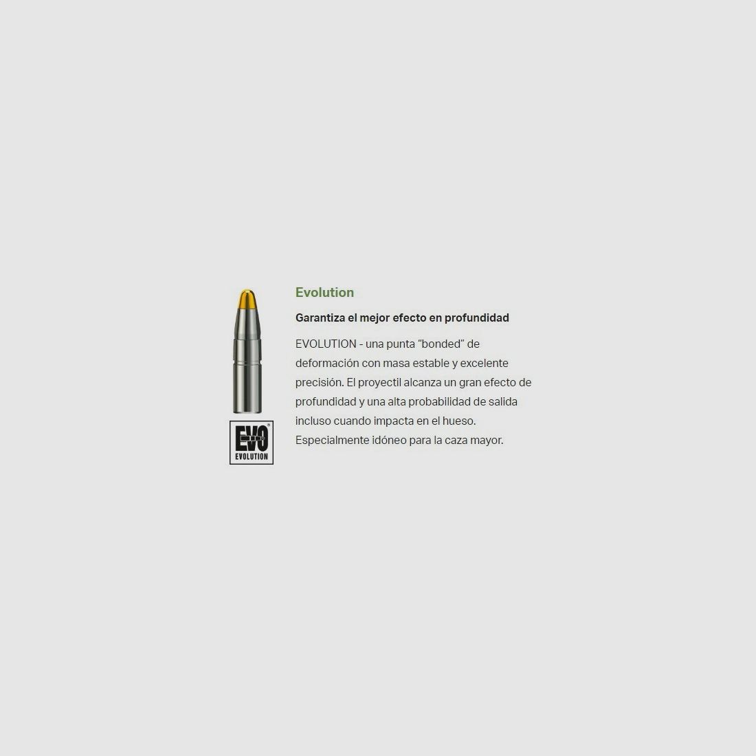 RWS 30-06 EVO 184 gr., image 2 sur 2