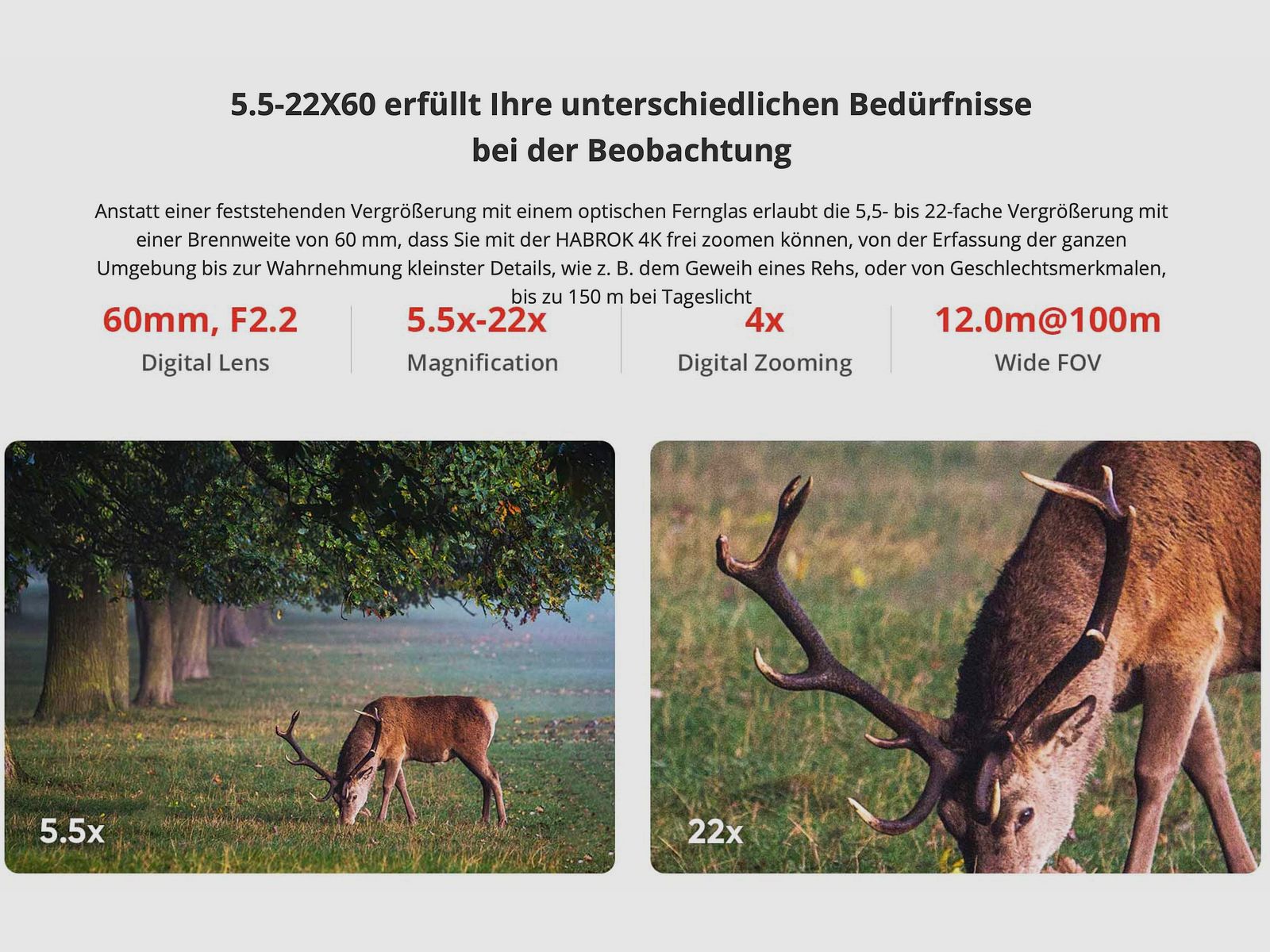 Hikmicro Binocular Habrok 4K HE25L 5.5-22x60 Wärmebild/Nachtsicht/Digitalkamera 850Nm 1920 x 1080