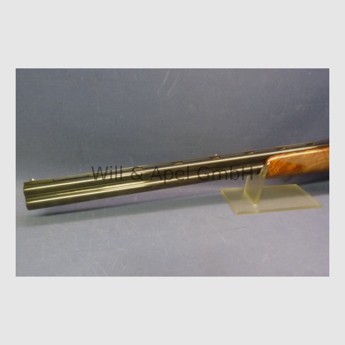 Guerini Invictus I Sportief