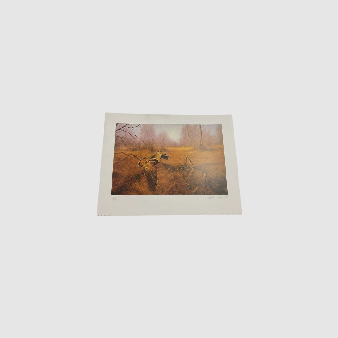 JULIAN NOVAROL – STEMPLES FÜR QUADRI „BECCACCIA“, Bild 1 von 4
