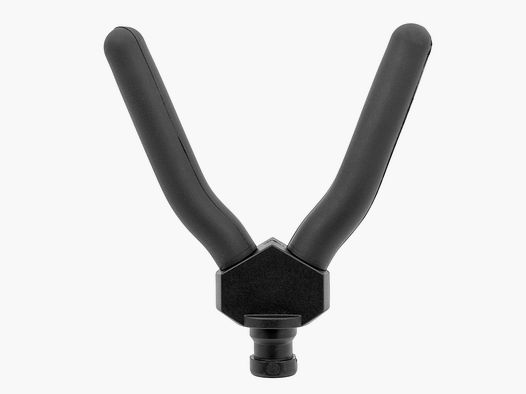 Recording fork for carbon target stick