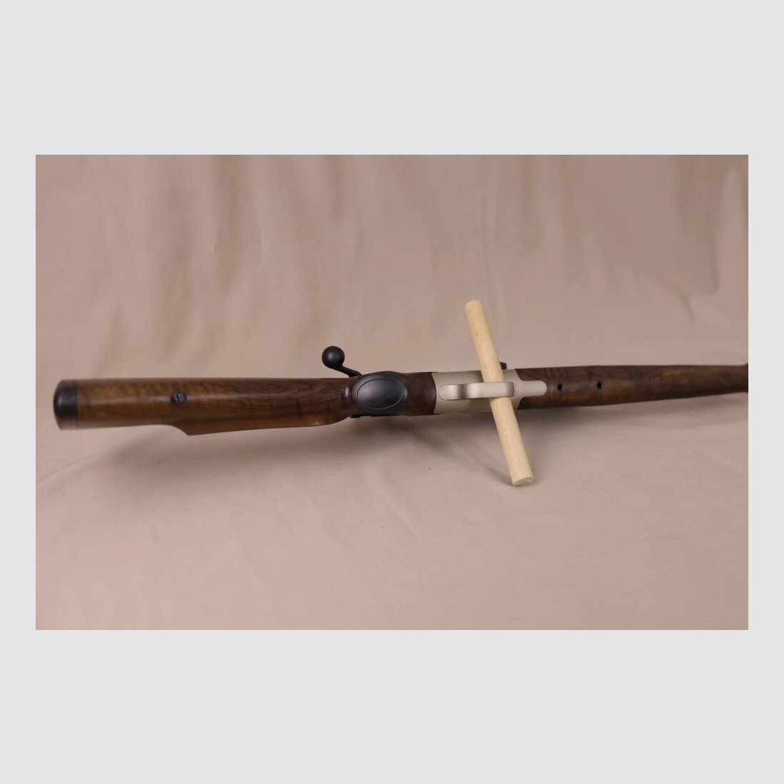Blaser R93 // Holz // Swarovski mit Leuchtpunkt!!!