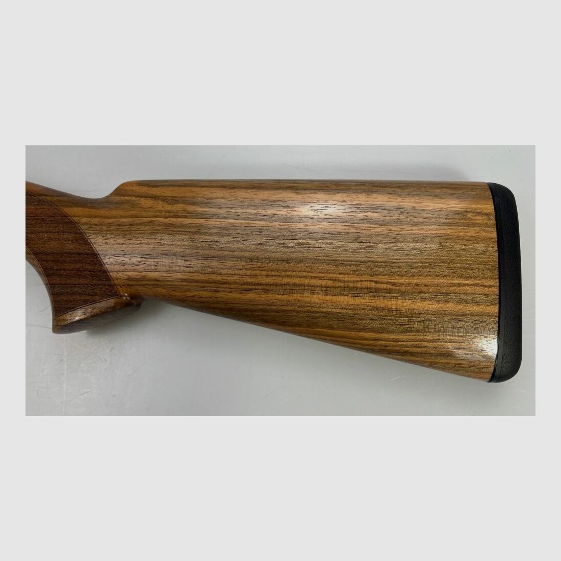 Blaser F16 Game