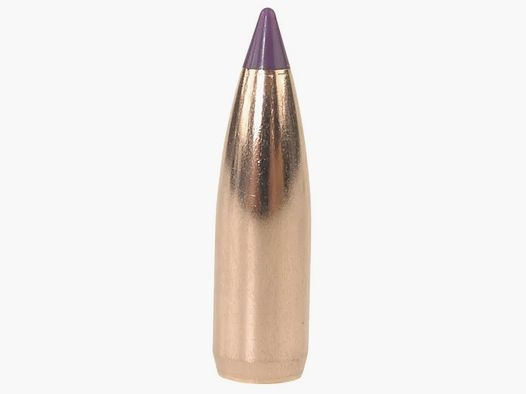 Nosler Geschoss Ballistic Tip Varmint 6mm/.243 70GR Spitzer 100 Stück