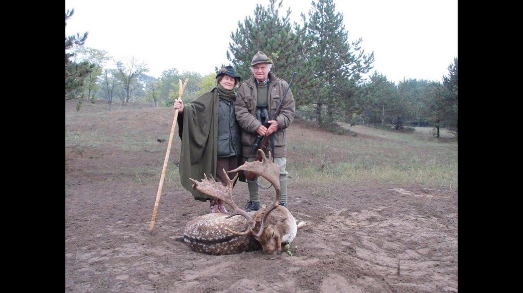 Damhirschjagd in Ungarn - fallow deer hunt in hungary  WH Jagd