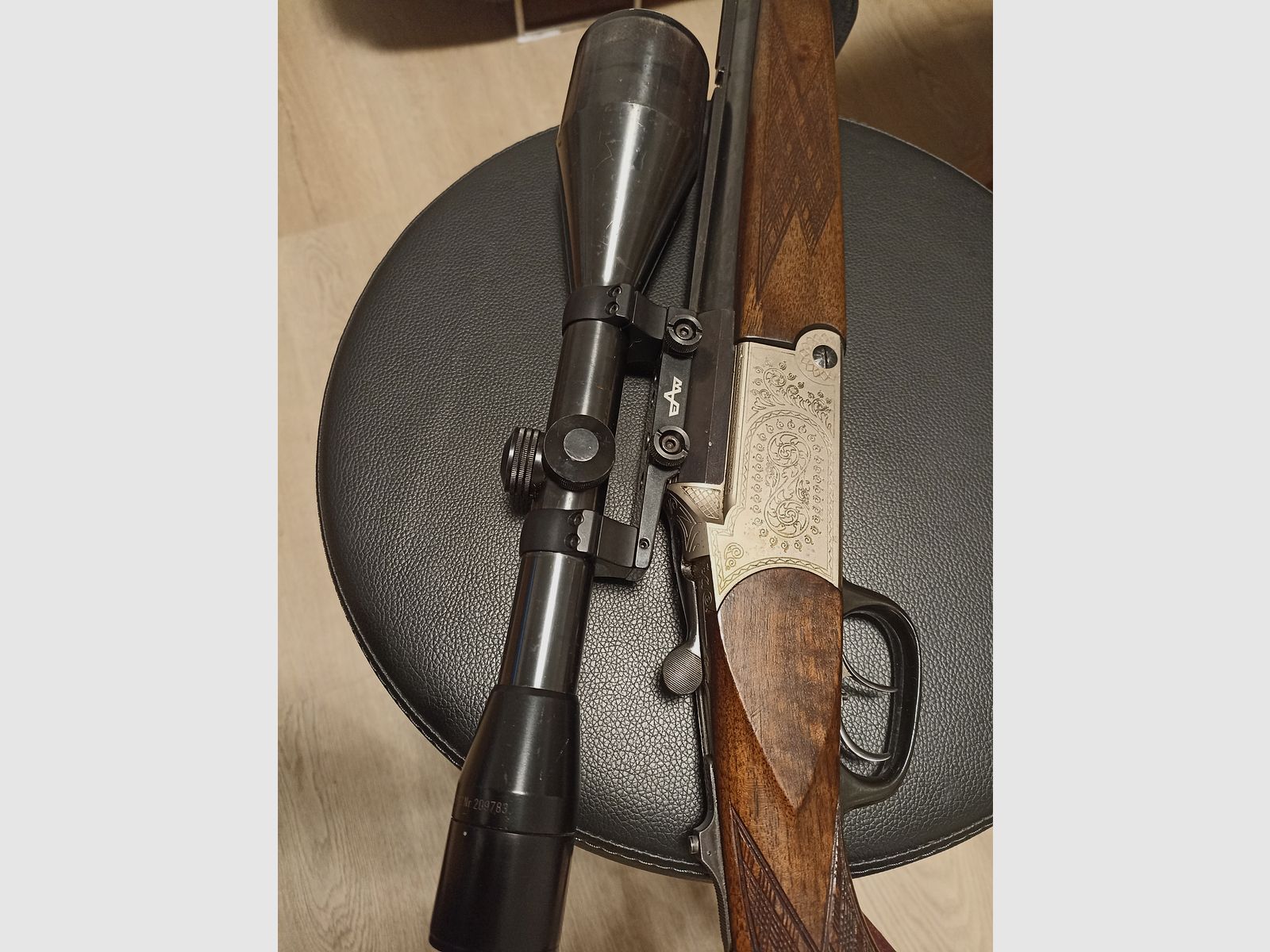 Blaser es 67