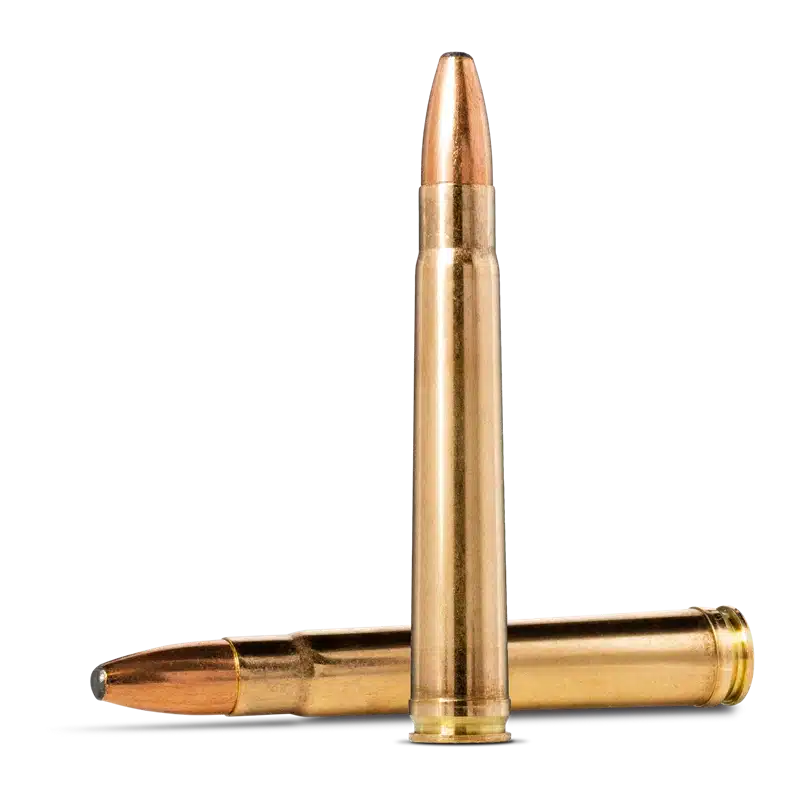 .375 H&H Mag.Norma Oryx 19.4g / 300grs., Bild 2 von 2