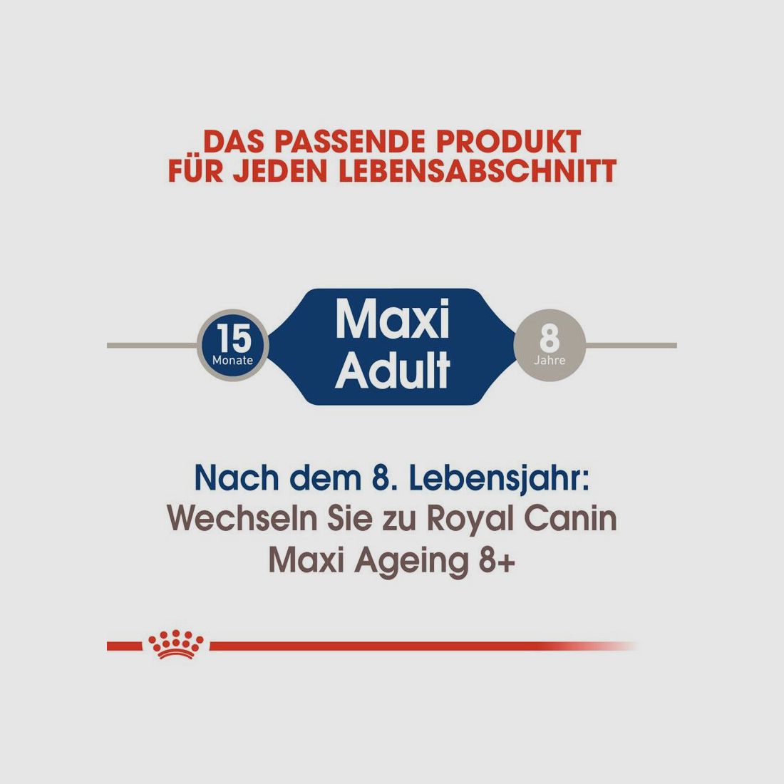 ROYAL CANIN Große Hunde Nassfutter Maxi Adult 10x140 g